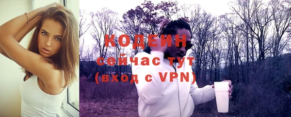 МДПВ Вязьма
