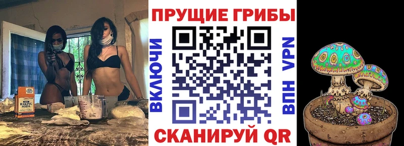 Купить  Буинск  Галлюциногенные грибы Magic Shrooms 