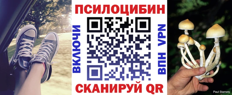 Галлюциногенные грибы мухоморы Буинск